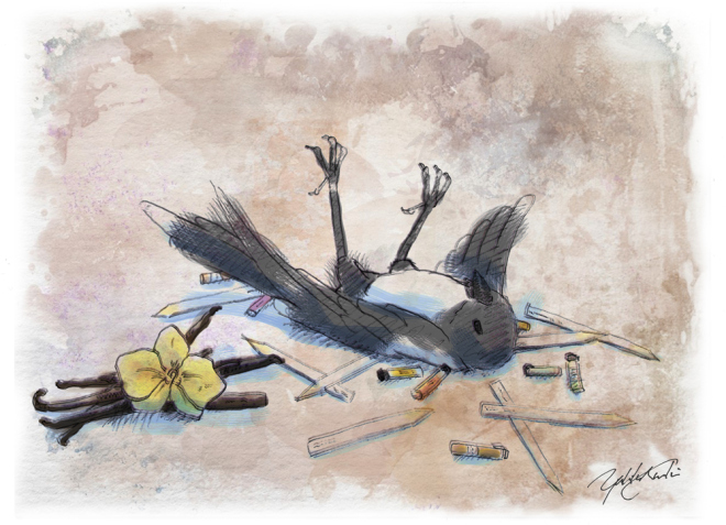 Magpie had a enough of vanilla... | Illustration by The Perfume Magpie 