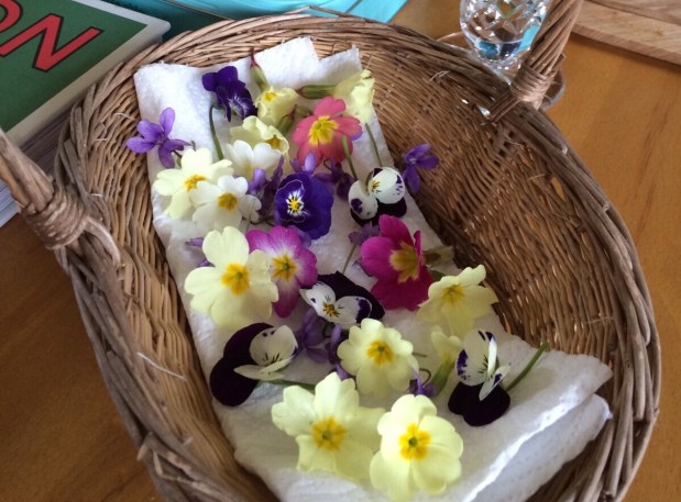 Crystallised primroses