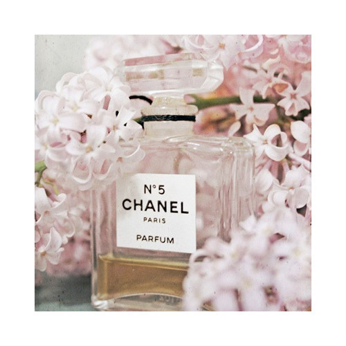 Bottle of Chanel No. 5 perfume with pink hyacinths