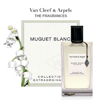 VCA Muguet Blanc