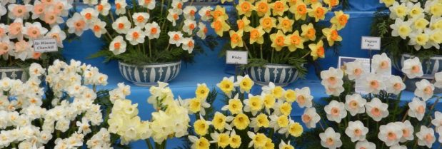 It’s National Fragrance&nbsp;Week!