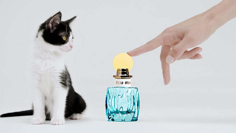 Fragrance ad for Miu Miu L'Eau Bleue, with bottle and kitten