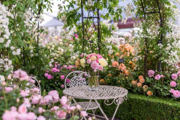 Fragrance Friday: Rose&nbsp;Royale