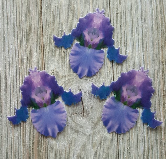 Edible iris flower cake toppers from Sugar Butterflies on Etsy.