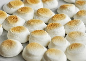 Tray of toasted marshmallows