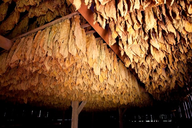 Tobacco barn Windsor CT