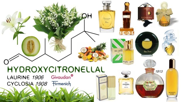 May Muguet Marathon: Sense of&nbsp;Smell