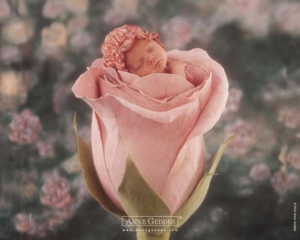 Happy Anniversary to Serenity&nbsp;Now!