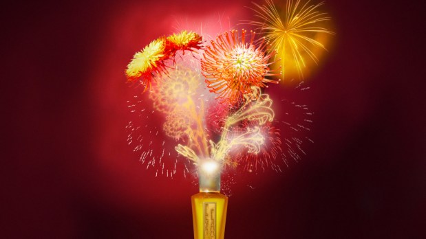 Fragrant Highlights of 2019: What Went&nbsp;Well