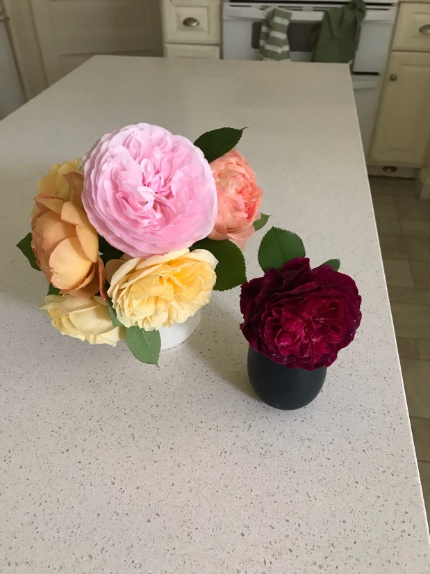 Perfume Chat Room, April&nbsp;24