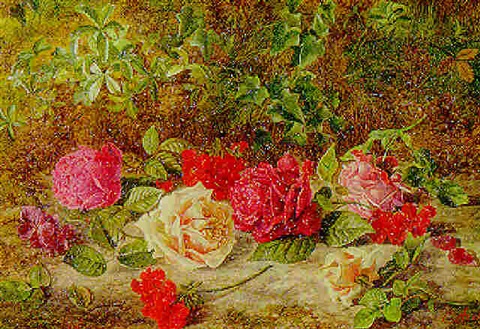 Roses de Mai Marathon: Geranium&nbsp;Bourbon