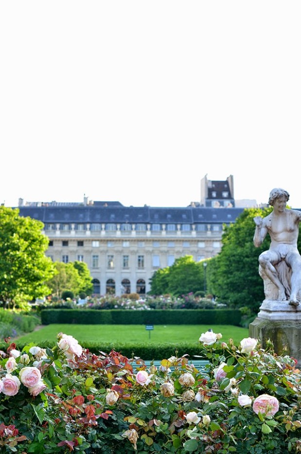 Roses de Mai Marathon: Rose&nbsp;Royale