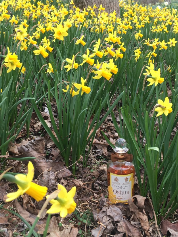 Perfume Chat Room, March&nbsp;19