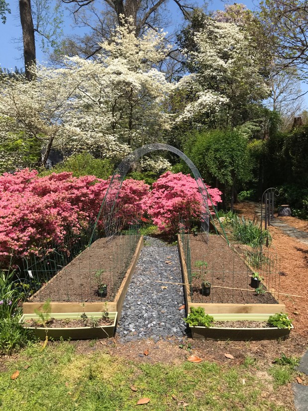 Perfume Chat Room, April&nbsp;9