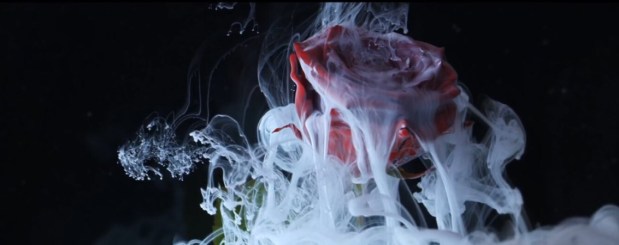 May Melange Marathon: Tobacco&nbsp;Rose