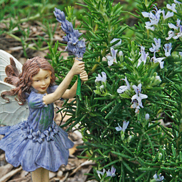 Scented Advent, December&nbsp;23