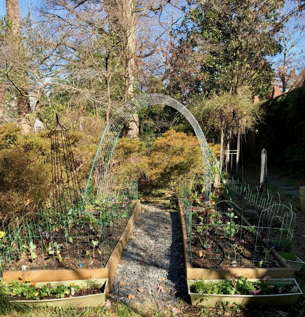 Perfume Chat Room, March&nbsp;11