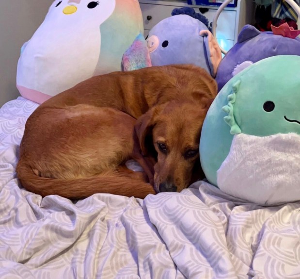 Perfume Chat Room, May&nbsp;5