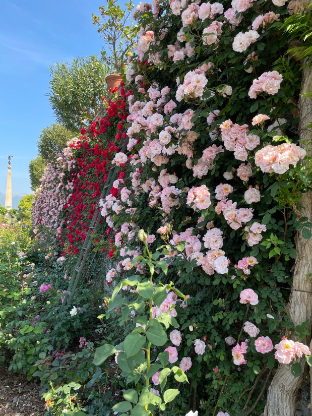 Perfume Chat Room, May&nbsp;24