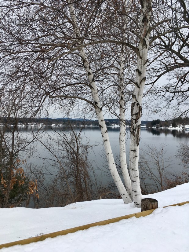 Perfume Chat Room, February&nbsp;3