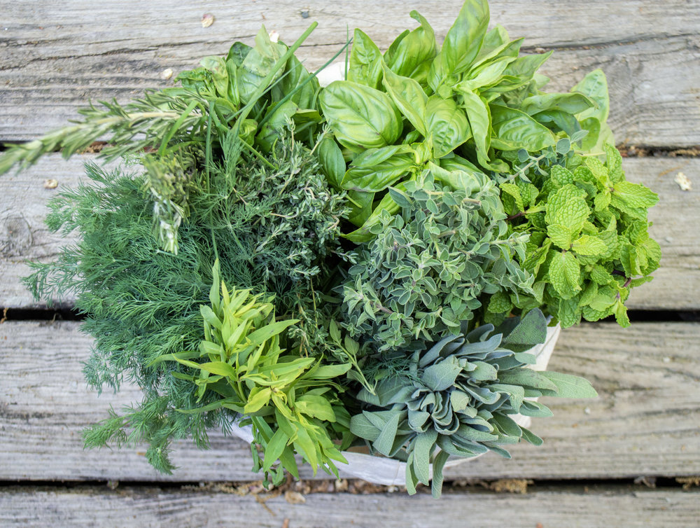 Bunches of fresh herbs