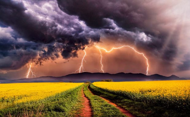 Perfume Chat Room, August&nbsp;11