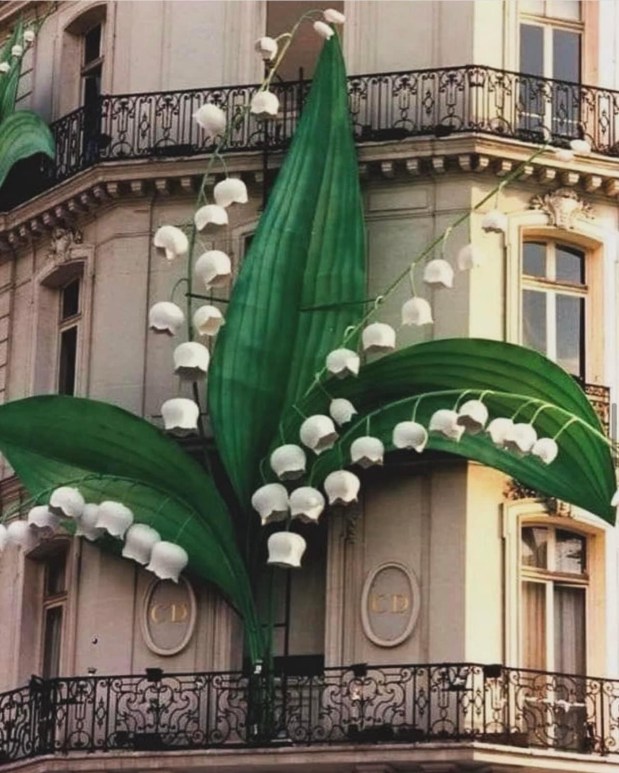 Perfume Chat Room, May&nbsp;8