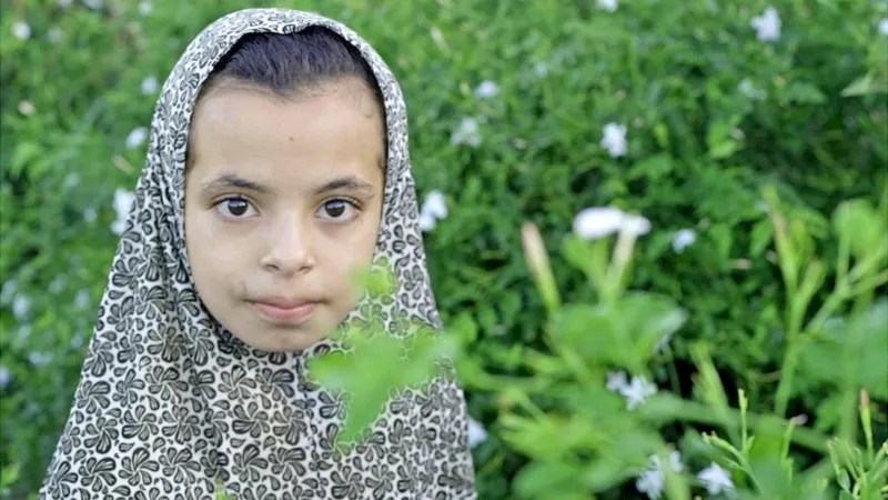 Child laborer in jasmine field