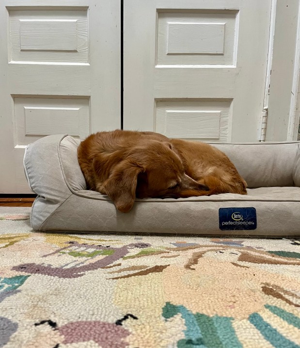 Perfume Chat Room, January&nbsp;10