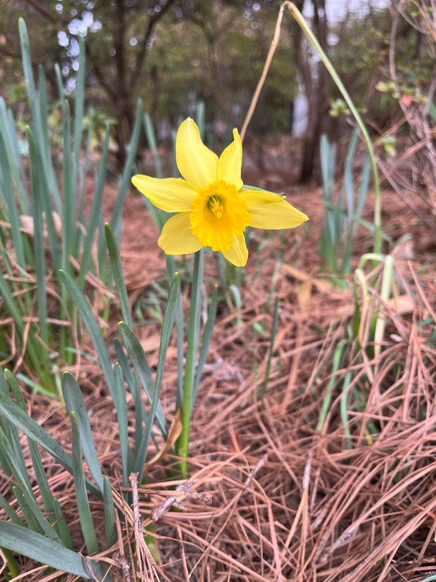 Perfume Chat Room, February&nbsp;21