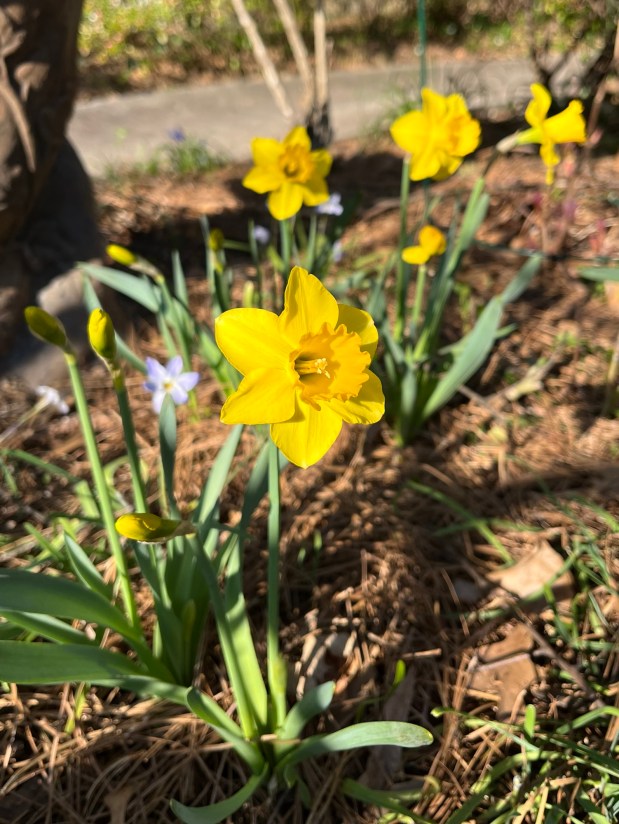 Perfume Chat Room, March&nbsp;14