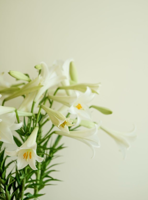 Perfume Chat Room, April&nbsp;18