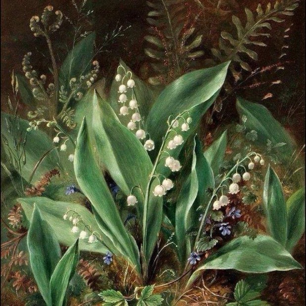 Perfume Chat Room, May&nbsp;2