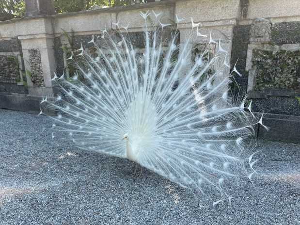 Perfume Chat Room, September&nbsp;28