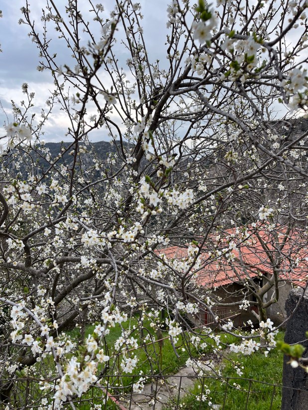 Perfume Chat Room, March&nbsp;20